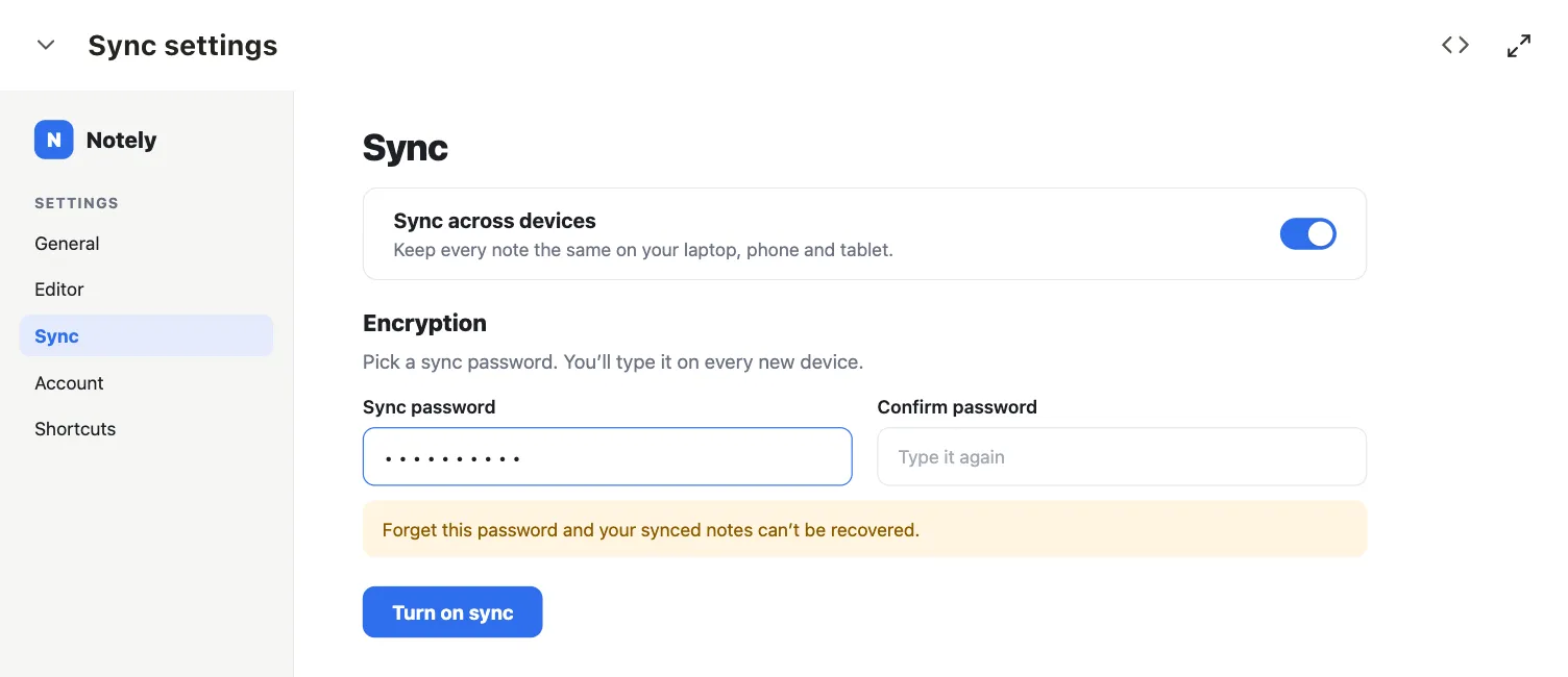 Screen draft of Notely's Sync settings asking for a sync password, with a warning that a forgotten password makes synced notes unrecoverable